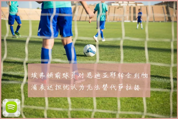 埃弗顿前球员对恩迪亚耶转会利物浦表达担忧认为无法替代萨拉赫