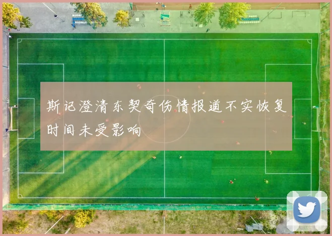 斯记澄清东契奇伤情报道不实恢复时间未受影响