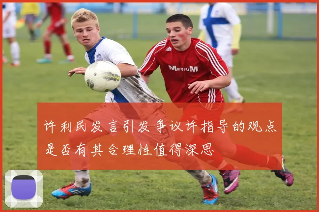 许利民发言引发争议许指导的观点是否有其合理性值得深思